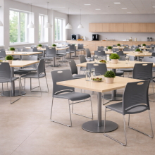 Ergonomická jedálenská stolička, EATSEAT CH GY, ilustračná foto