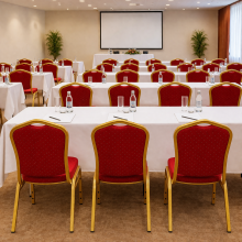 Stolička so zlatým rámom a červeným poťahom, HALLSEAT MX STRONG GD/RD, ilustračná foto