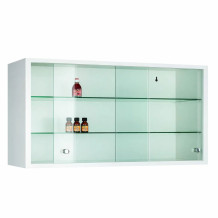 Závesná skriňa s presklenými dverami, WALLCAB M 500/1000/250 9003