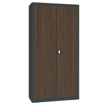 DOCUCAB WOOD M 1990/1000/435 7016/TEK | Kancelárska skrinka s drevenou dyhou na dverách