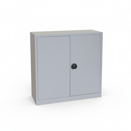 Archivačná skriňa s 2 policami, DOCUCAB H 1000/1000/420 GY