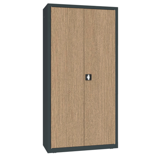 DOCUCAB WOOD M 1990/1000/435 7016/OAK | Kancelárska skrinka s drevenou dyhou na dverách